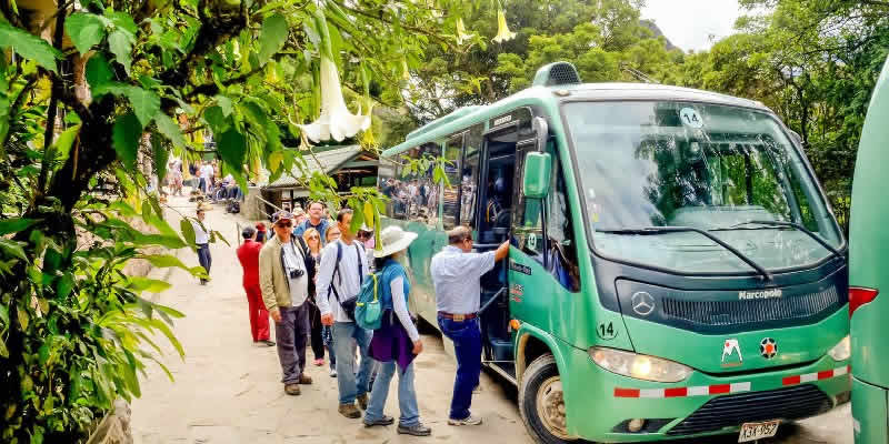 bus consettur
