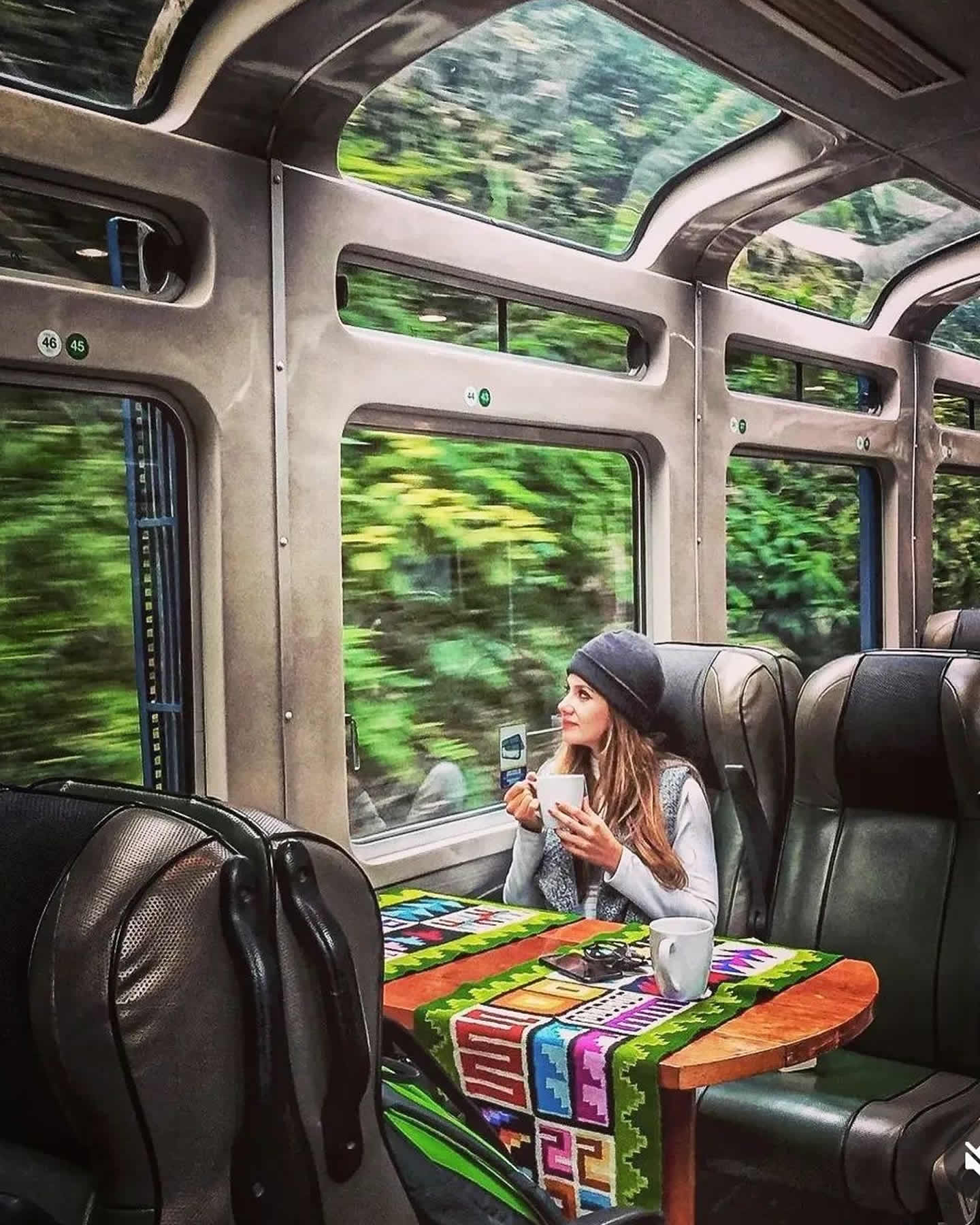 vistadome peru rail
