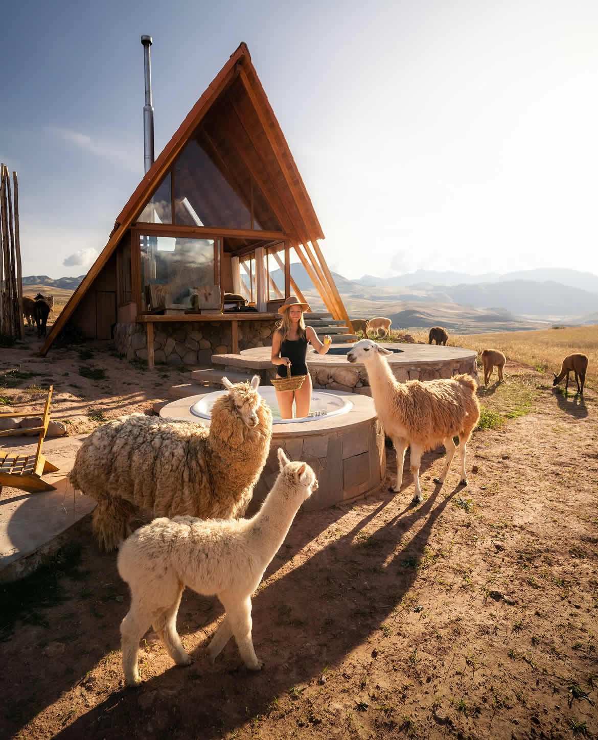 traslado mountain view experience