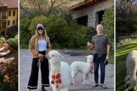 tambo del inka transporte privado