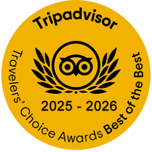 tripadvisor winner
