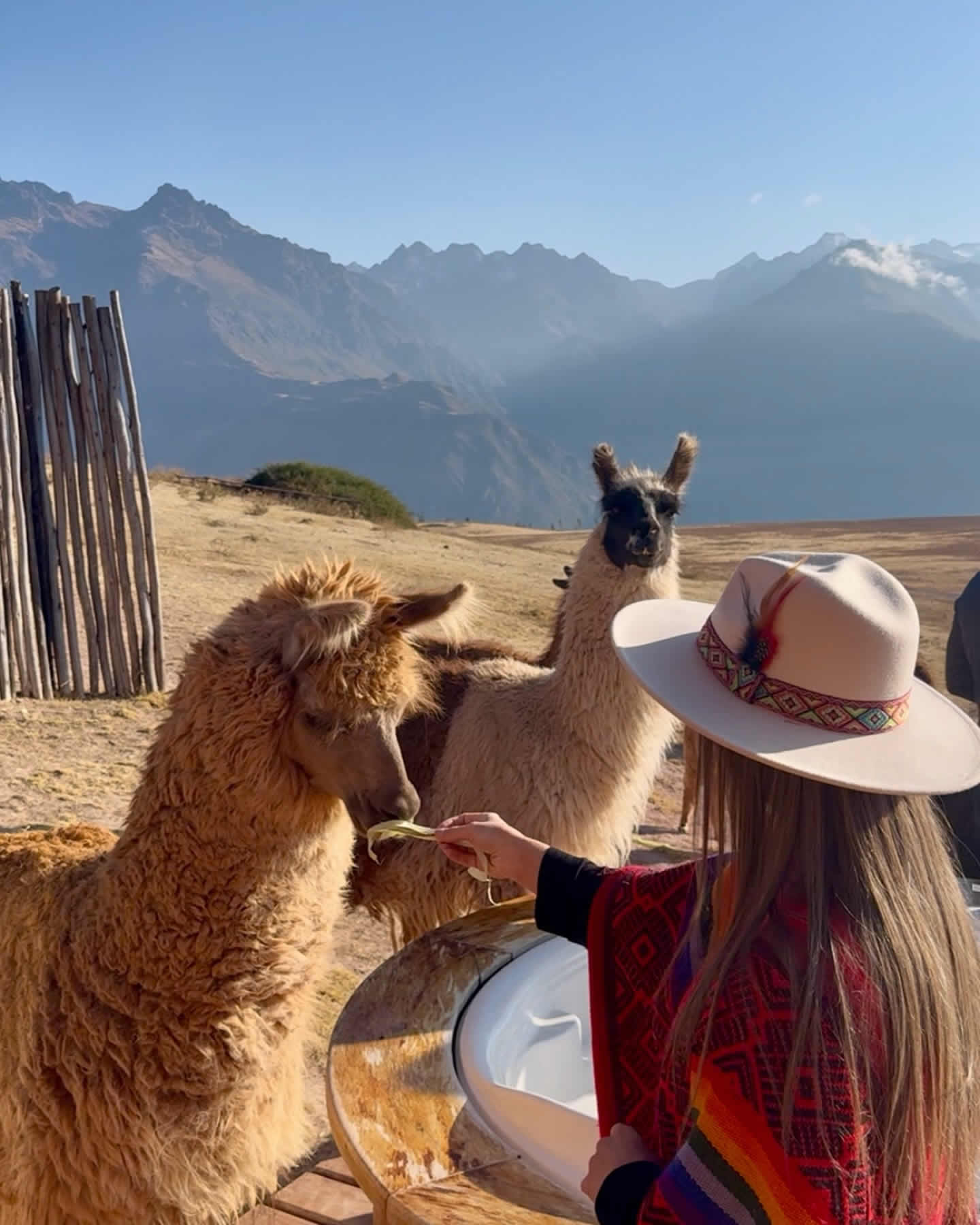 translado mountain view experience