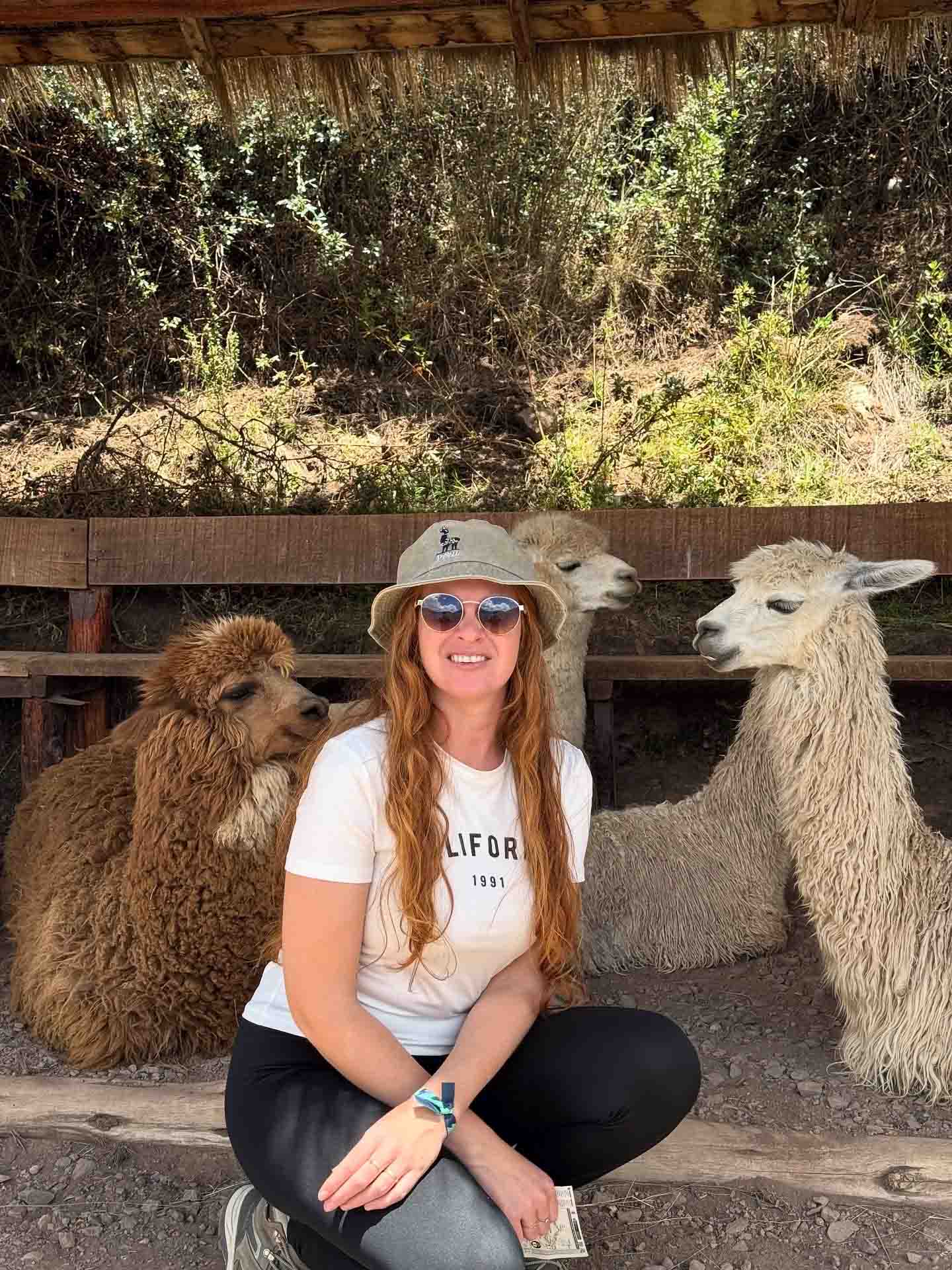 traslado mercado pisac privado